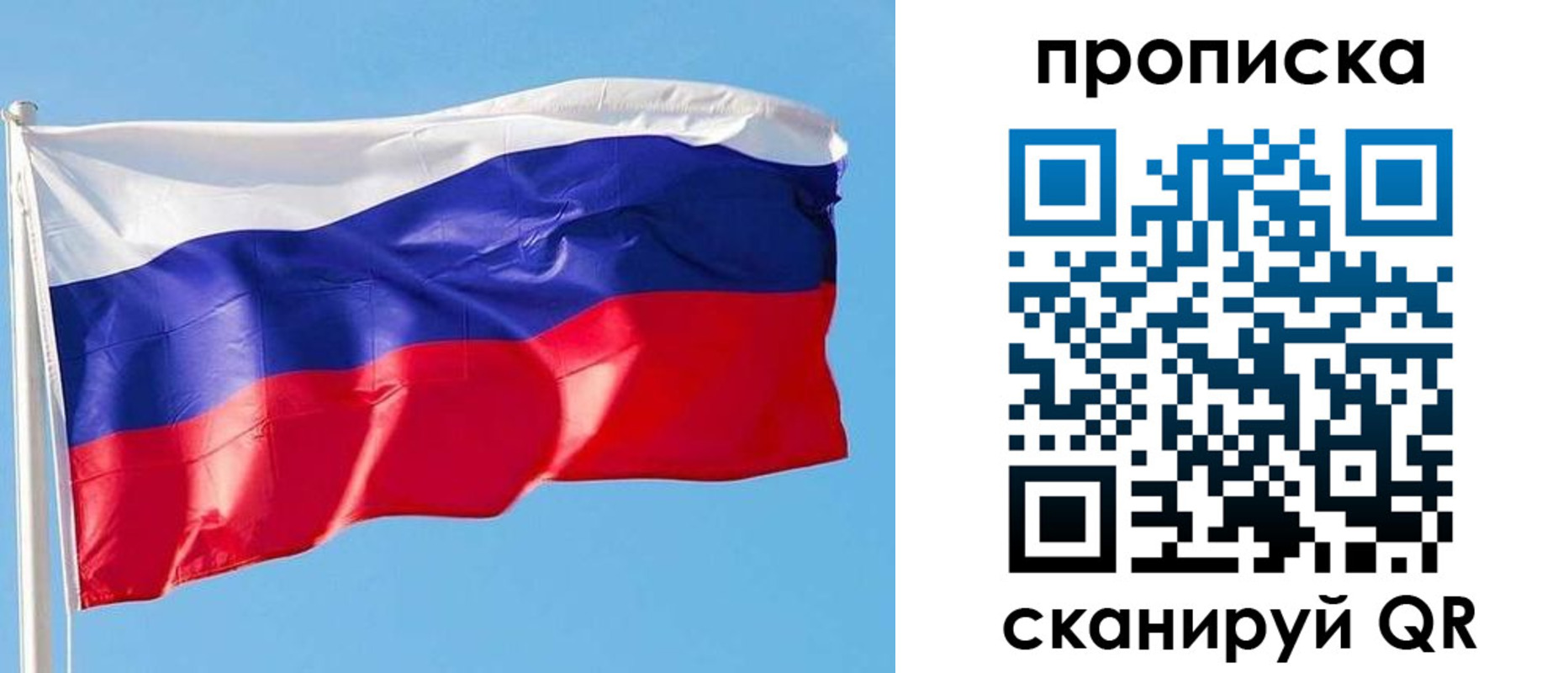прописка поиск в Каргополе